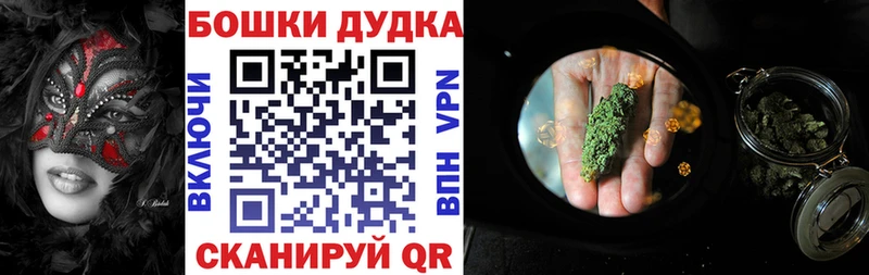 Купить закладку Псилоцибиновые грибы Альфа ПВП Меф Бошки Шишки ТГК ГАШИШ Вязники