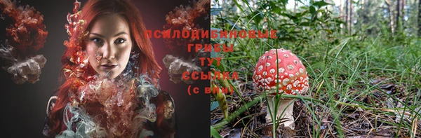 ПСИЛОЦИБИНОВЫЕ ГРИБЫ Армянск