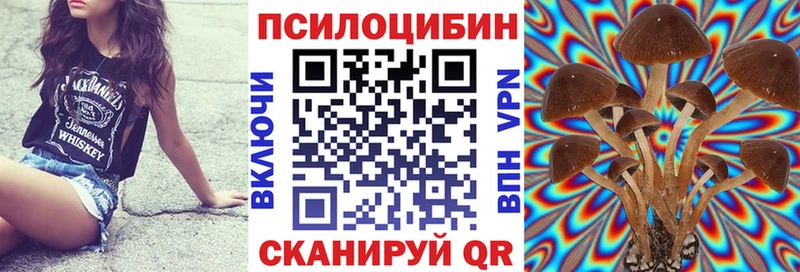 Псилоцибиновые грибы мухоморы  Купить закладки  Вязники 
